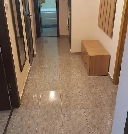 Sunny 那沃达利